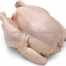 frozen chicken meat - product's photo