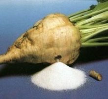 refined cane sugar icumsa 45  - product's photo