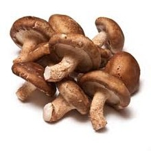 shiitake mushroom - product's photo