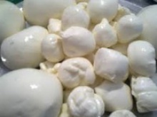 buffalo mozzarella cheese - product's photo