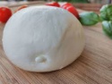 quality mozzarella and ricotta cheese - product's photo