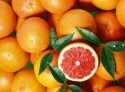 fresh south african grape fruits - product's photo