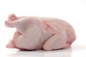  frozen chicken - product's photo