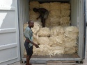 100% natural sisal fibre for sale - product's photo