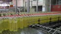 sunflower oil - product's photo