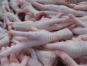 clean fresh frozen chicken feet and chicken paws - product's photo