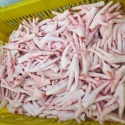frozen chicken feet / whole chicken / chicken mid joint  - product's photo