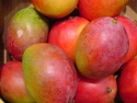 fresh and quality red royal gala apple - product's photo