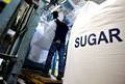 sugar - product's photo
