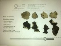 black fungus  - product's photo