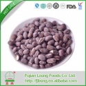  freeze dried apricot - product's photo