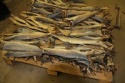 stockfish - product's photo