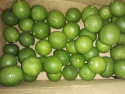 good quality fresh lemon - product's photo