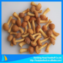 frozen nameko mushroom - product's photo