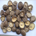 dried shiitake mushroom - product's photo