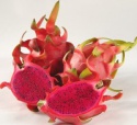 dragon fruit - product's photo