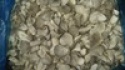 frozen baby oyster - product's photo