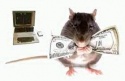  spiritual rats / short boys (amagudwane) that brings money, for hire  - product's photo