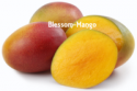  mango honey gold calypso - product's photo