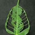    effective fertility spells get pregnant right now contact me now  - product's photo