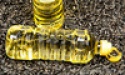 refined sunflower oil - product's photo