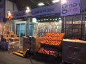 egyption fresh valencia orange  - product's photo