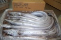 iqf frozen ribbon fish (whole round) - product's photo