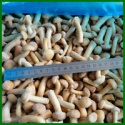 good quality iqf frozen nameko mushroom - product's photo